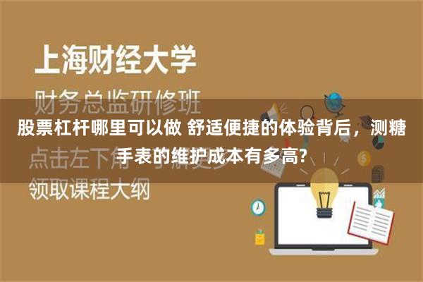 股票杠杆哪里可以做 舒适便捷的体验背后，测糖手表的维护成本有多高?