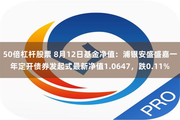 50倍杠杆股票 8月12日基金净值：浦银安盛盛嘉一年定开债券发起式最新净值1.0647，跌0.11%