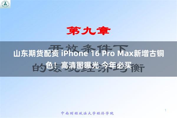 山东期货配资 iPhone 16 Pro Max新增古铜色！高清图曝光 今年必买