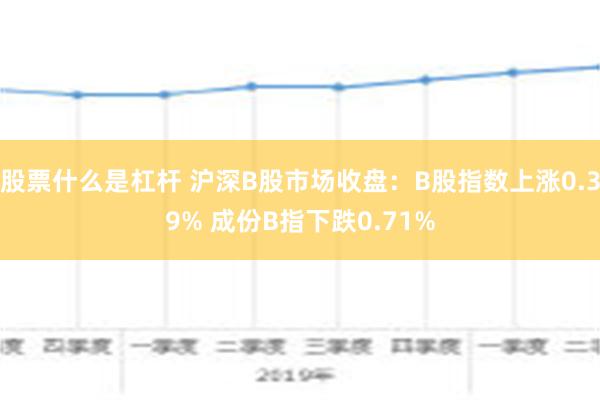 股票什么是杠杆 沪深B股市场收盘：B股指数上涨0.39% 成份B指下跌0.71%