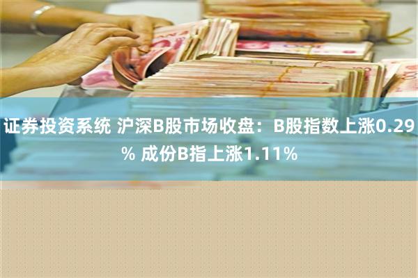 证券投资系统 沪深B股市场收盘：B股指数上涨0.29% 成份B指上涨1.11%