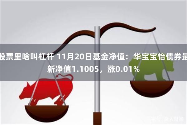 股票里啥叫杠杆 11月20日基金净值：华宝宝怡债券最新净值1.1005，涨0.01%