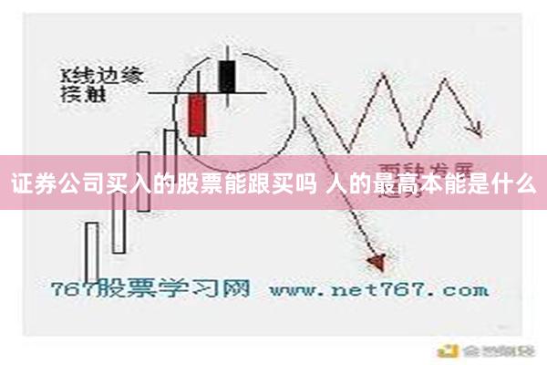 证券公司买入的股票能跟买吗 人的最高本能是什么