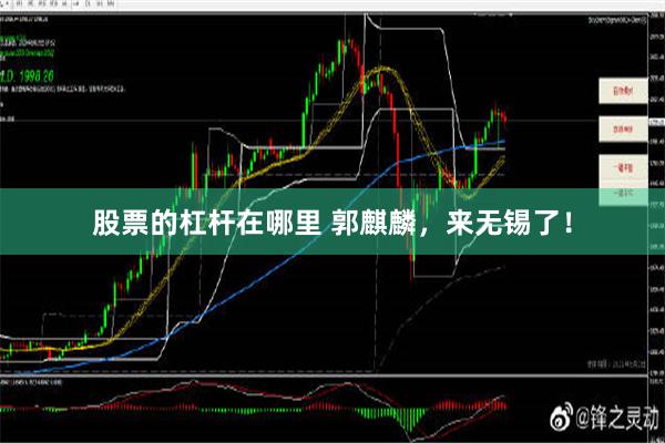 股票的杠杆在哪里 郭麒麟，来无锡了！