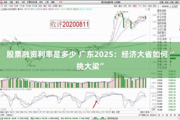 股票融资利率是多少 广东2025：经济大省如何“挑大梁”